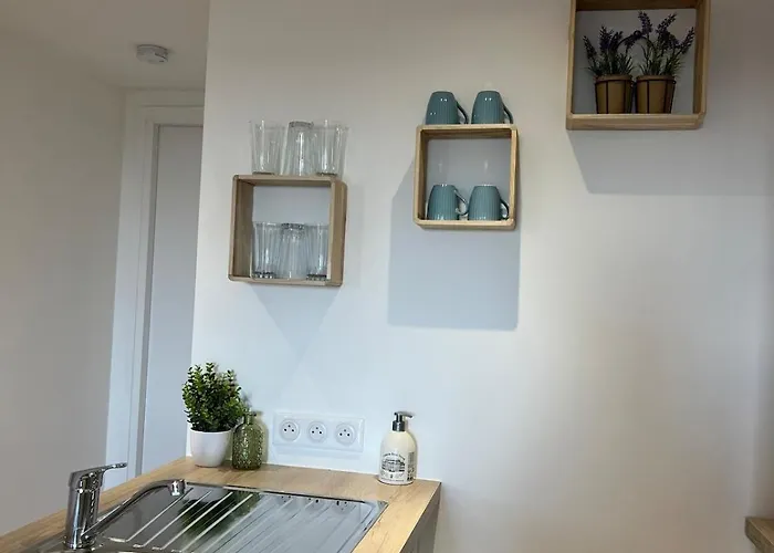 公寓 Le Nid D Azur Duplex Vue Centre *